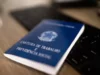 MK Imobiliária abre vagas de emprego em Pernambuco