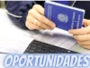 Tip Top abre vagas de emprego no Shopping